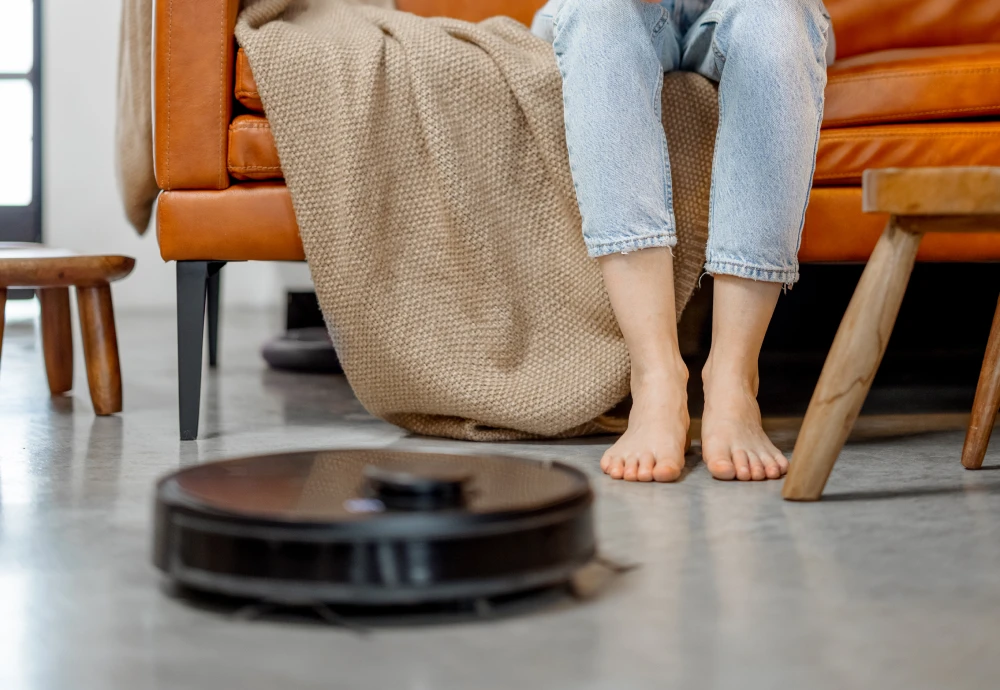 what is the best robotic vacuum cleaner to buy